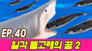 일각돌고래의 꿈 2화ㅣ상어와의 한판 대결편 시즌5 40화, 어린이 만화...