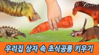 우리집 상자 속 초식공룡 키우기, 유아교육, 어린이 공룡 만화, 컬렉...