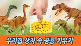 우리집 상자 속 공룡 키우기, 유아교육, 어린이 공룡 만화, 컬렉타피...