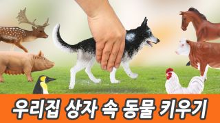 우리집 상자 속 귀여운 동물 키우기! 유아 교육, 공룡만화, 한글로 동...