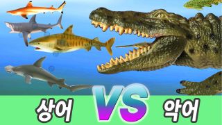 배고픈 악어는 상어를 좋아해!, 유아교육, 어린이 공룡 만화, 컬렉타피...