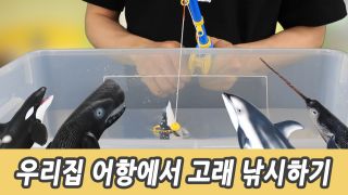 우리집 어항에서 고래 낚시하기, 유아교육, 어린이 공룡 만화, 컬렉타피...