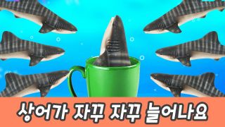 한국어ㅣ상어가 자꾸자꾸 늘어나요, 어린이 해양동물 만화, 유아 숫자...