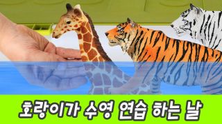 한국어ㅣ호랑이가 수영 연습하는 날, 어린이 동물 애니메이션ㅣ꼬꼬스...