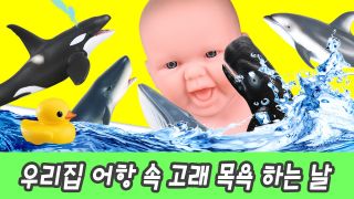 한국어ㅣ우리집 어항 속 고래 목욕하는 날, 어린이 해양동물 애니메이...